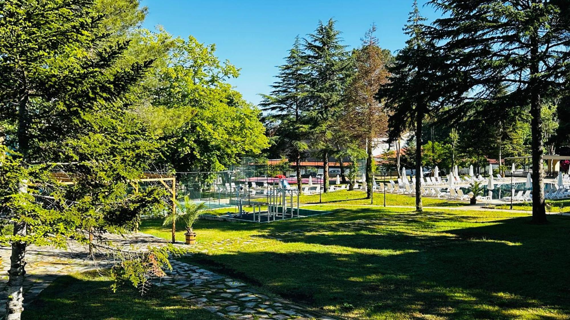 Queen Nelly Park Kiten  Bagian luar foto