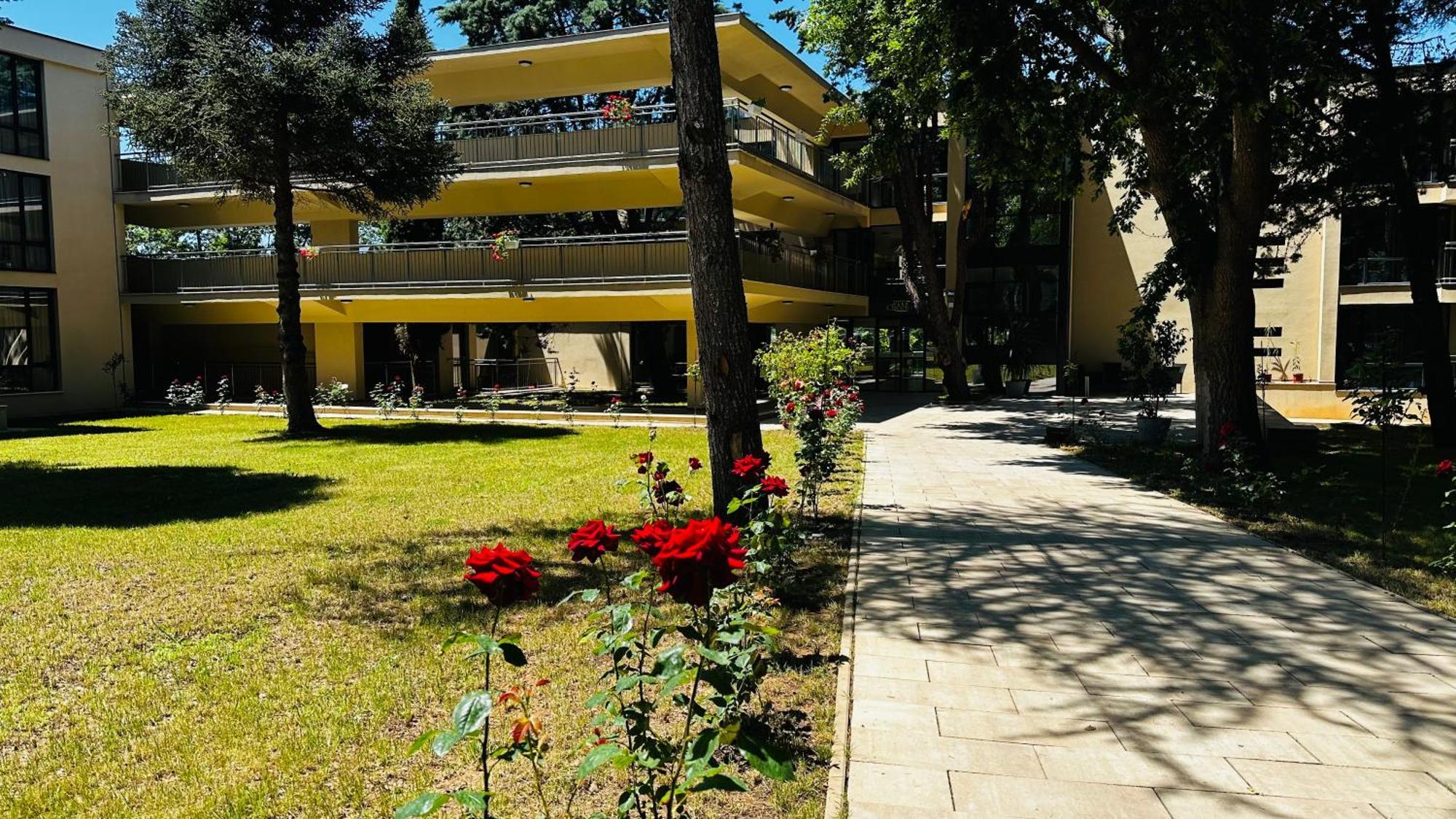 Queen Nelly Park Kiten  Bagian luar foto