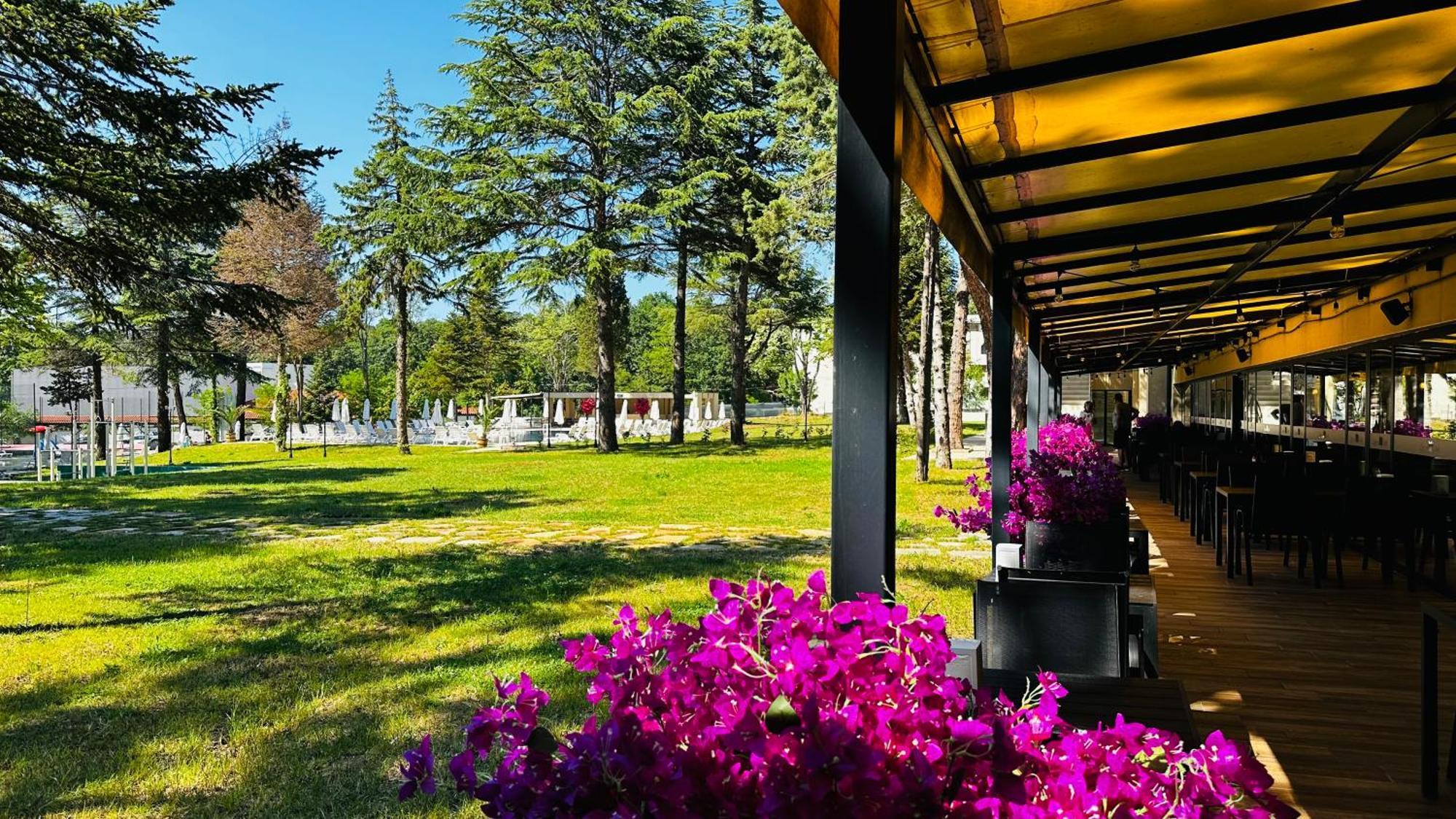 Queen Nelly Park Kiten  Bagian luar foto